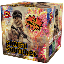 Armed Squirrel 25 rán 30mm